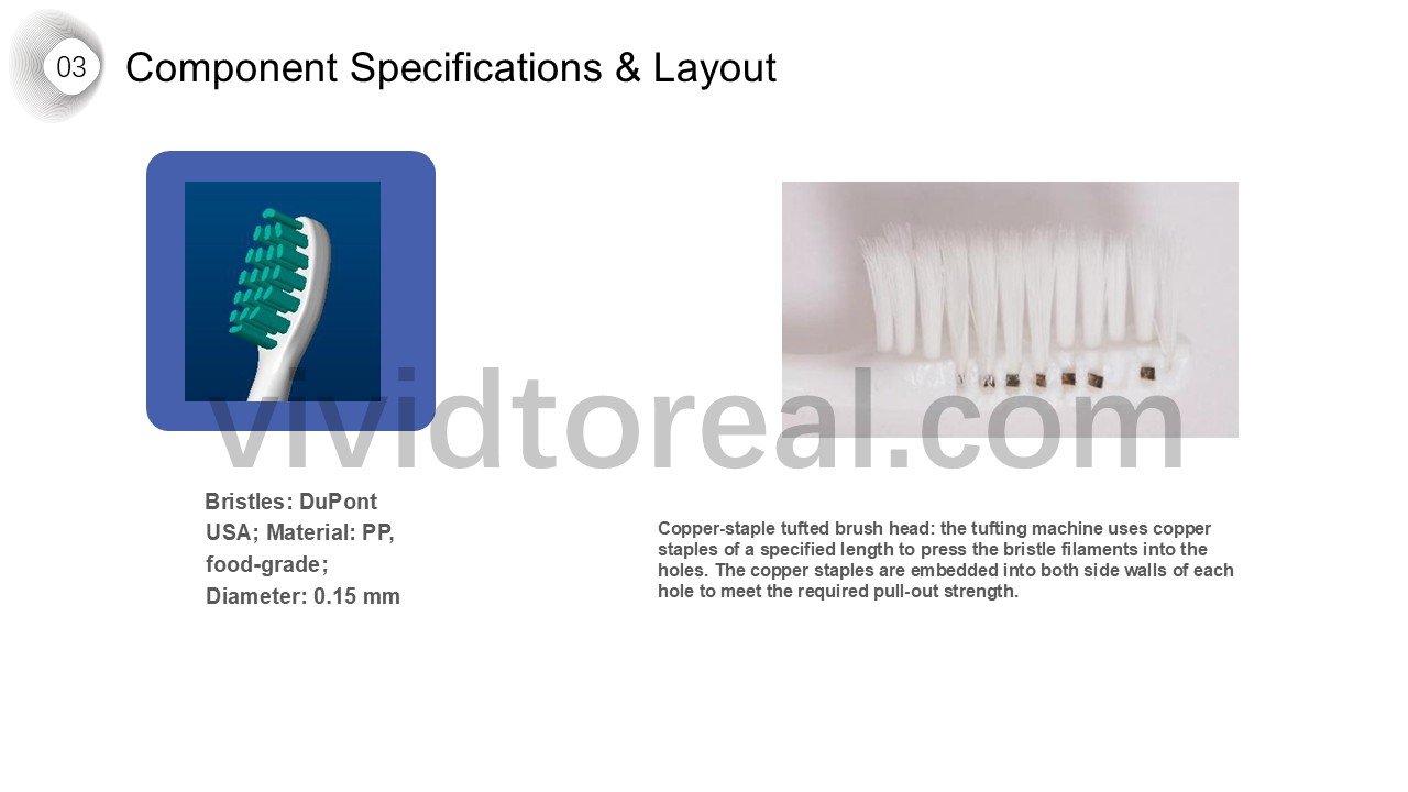 Component Specifications & Layout 